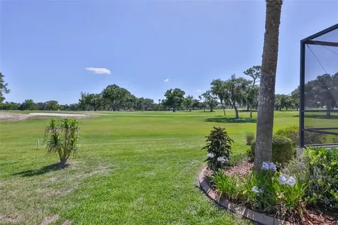 1917 Sterling Glen Court Sun City Center FL 33573