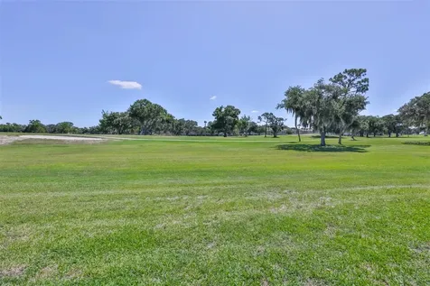 1917 Sterling Glen Court Sun City Center FL 33573