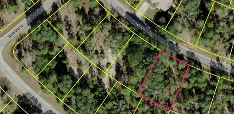Fisher Course Ocklawaha FL 32179