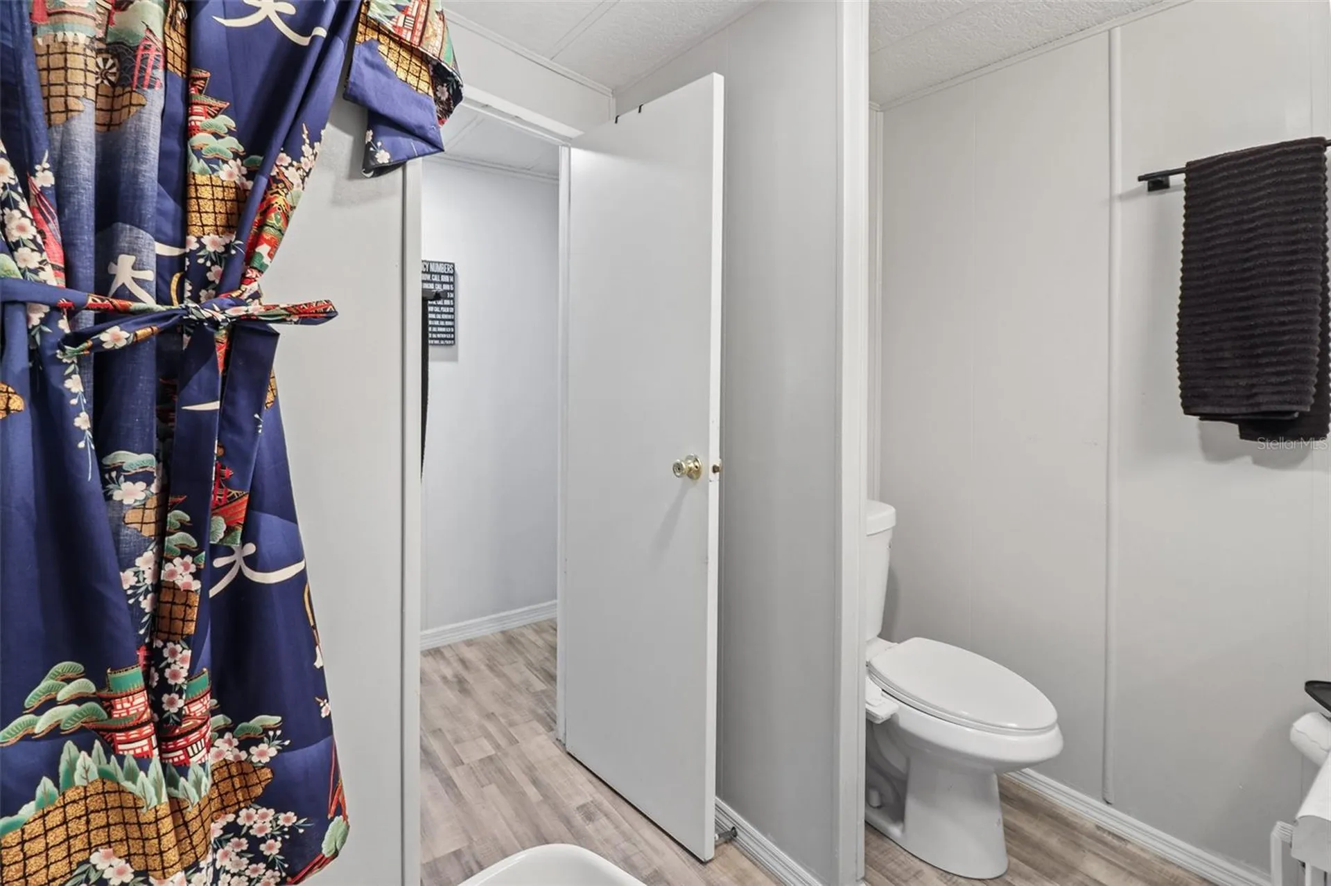 919 Weeping Willow Avenue Lady Lake FL 32159