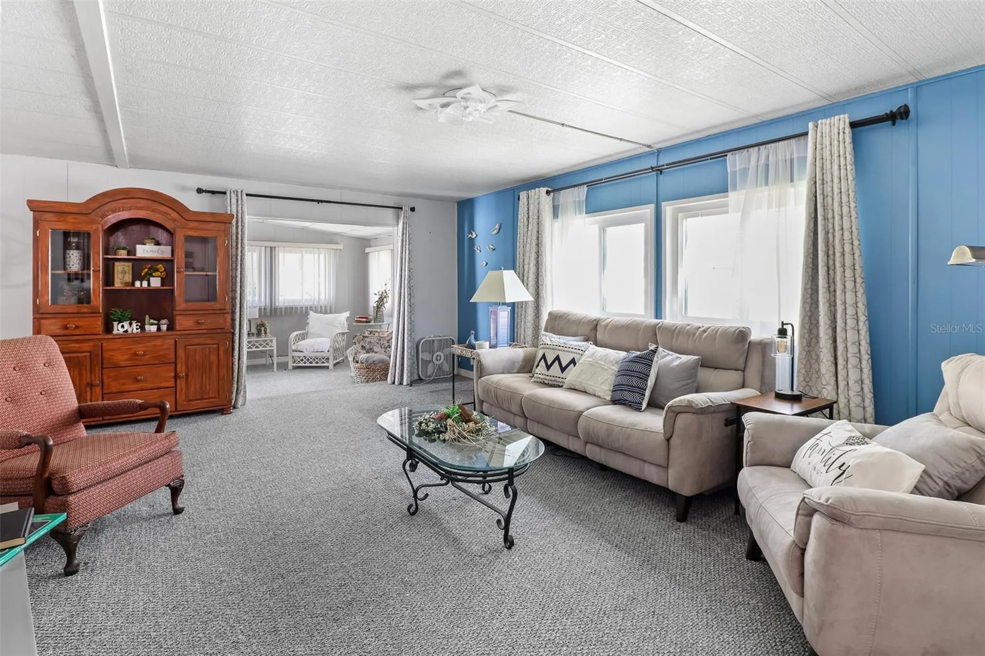 919 Weeping Willow Avenue Lady Lake FL 32159