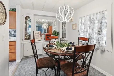 919 Weeping Willow Avenue Lady Lake FL 32159