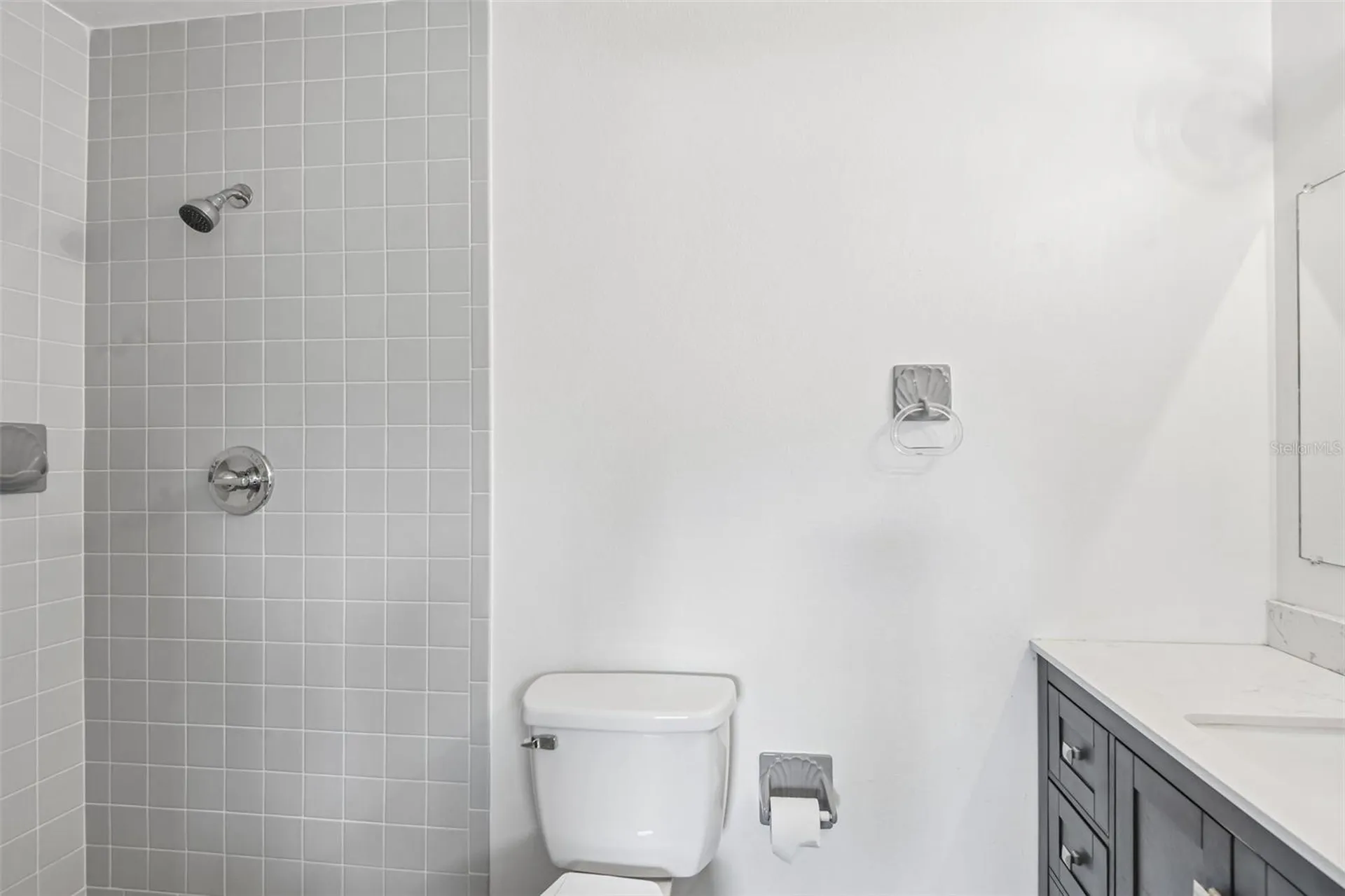 18411 Autumn Mist Drive Lutz FL 33549