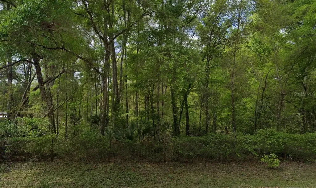 350 NE 644th Street Old Town FL 32680