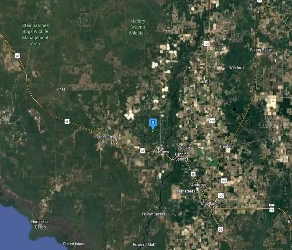 350 NE 644th Street Old Town FL 32680