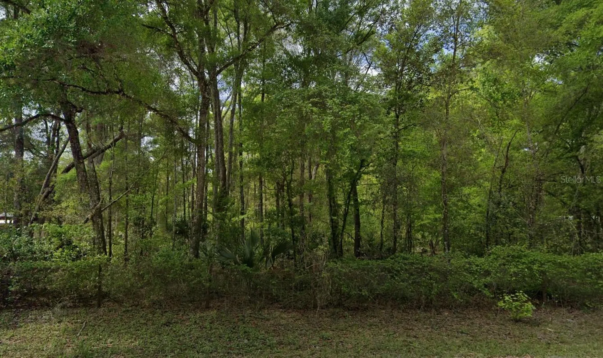 350 NE 644th Street Old Town FL 32680