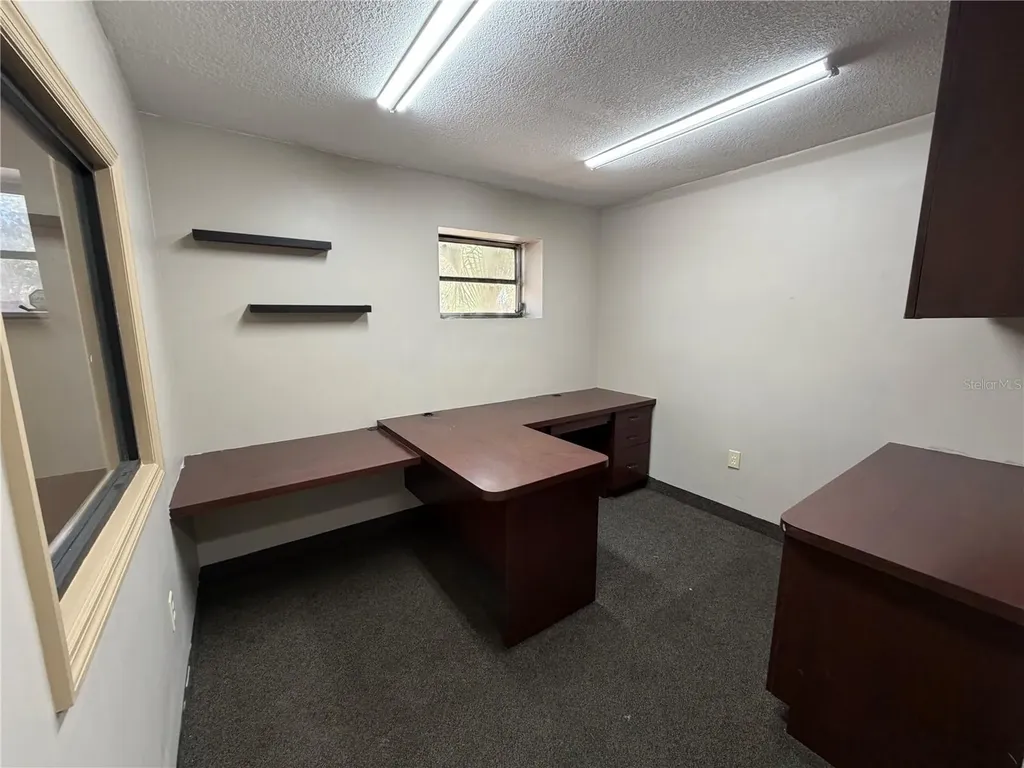 15921 N Florida Avenue Lutz FL 33549