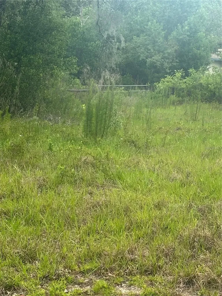 18890 SW 44th Street Dunnellon FL 34432