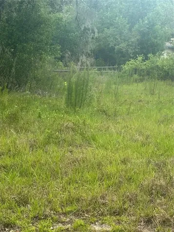 18890 SW 44th Street Dunnellon FL 34432