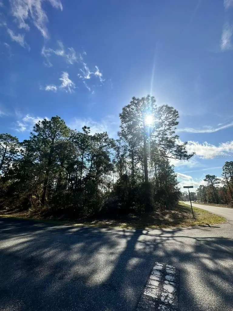3171 W Randolph Lane Citrus Springs FL 34433