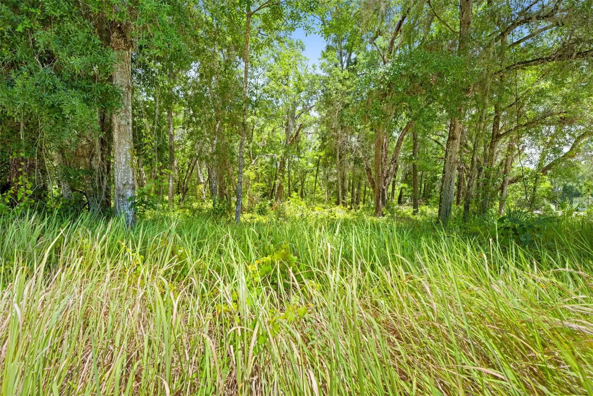0 Ricebird Avenue Weeki Wachee FL 34614