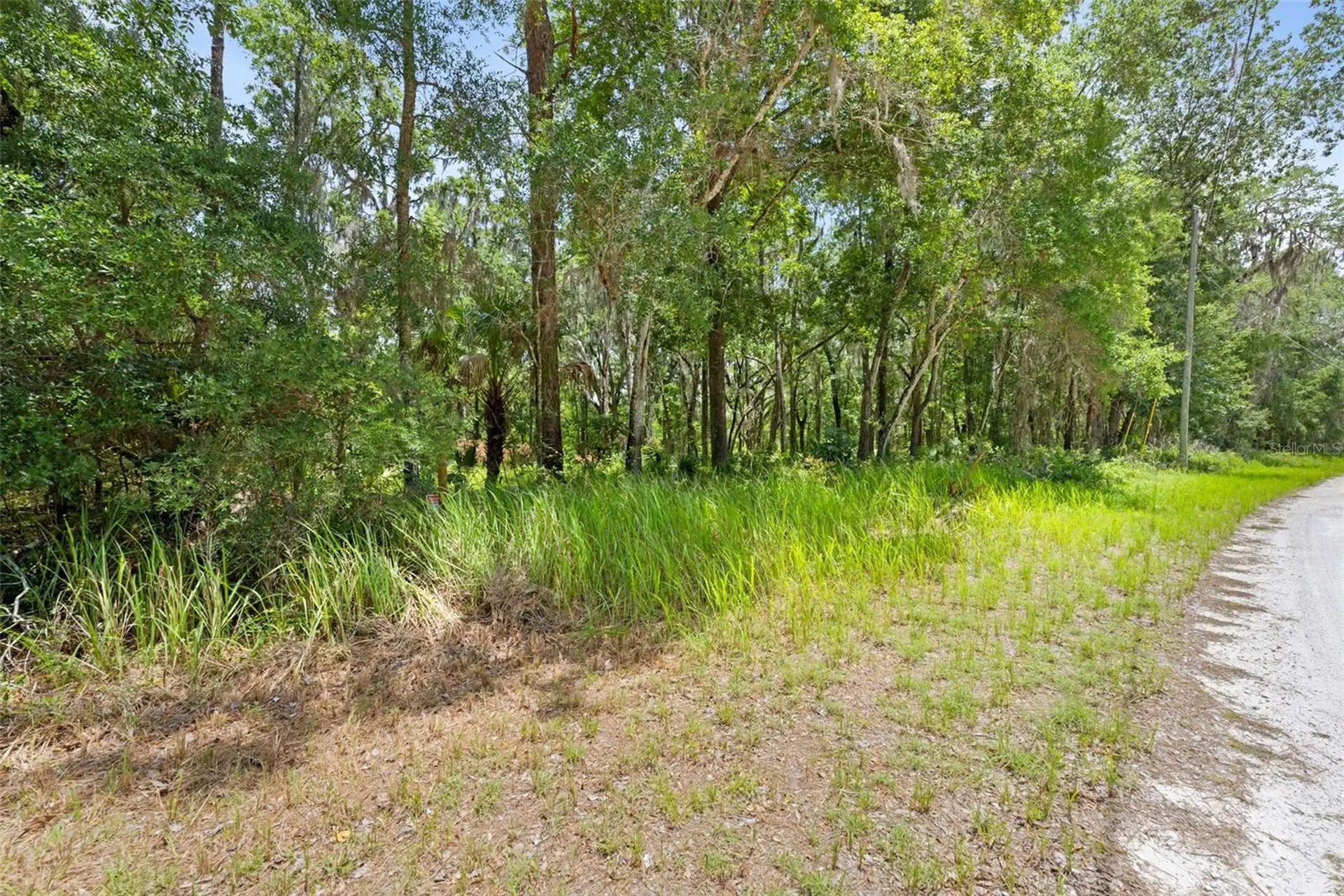 0 Ricebird Avenue Weeki Wachee FL 34614