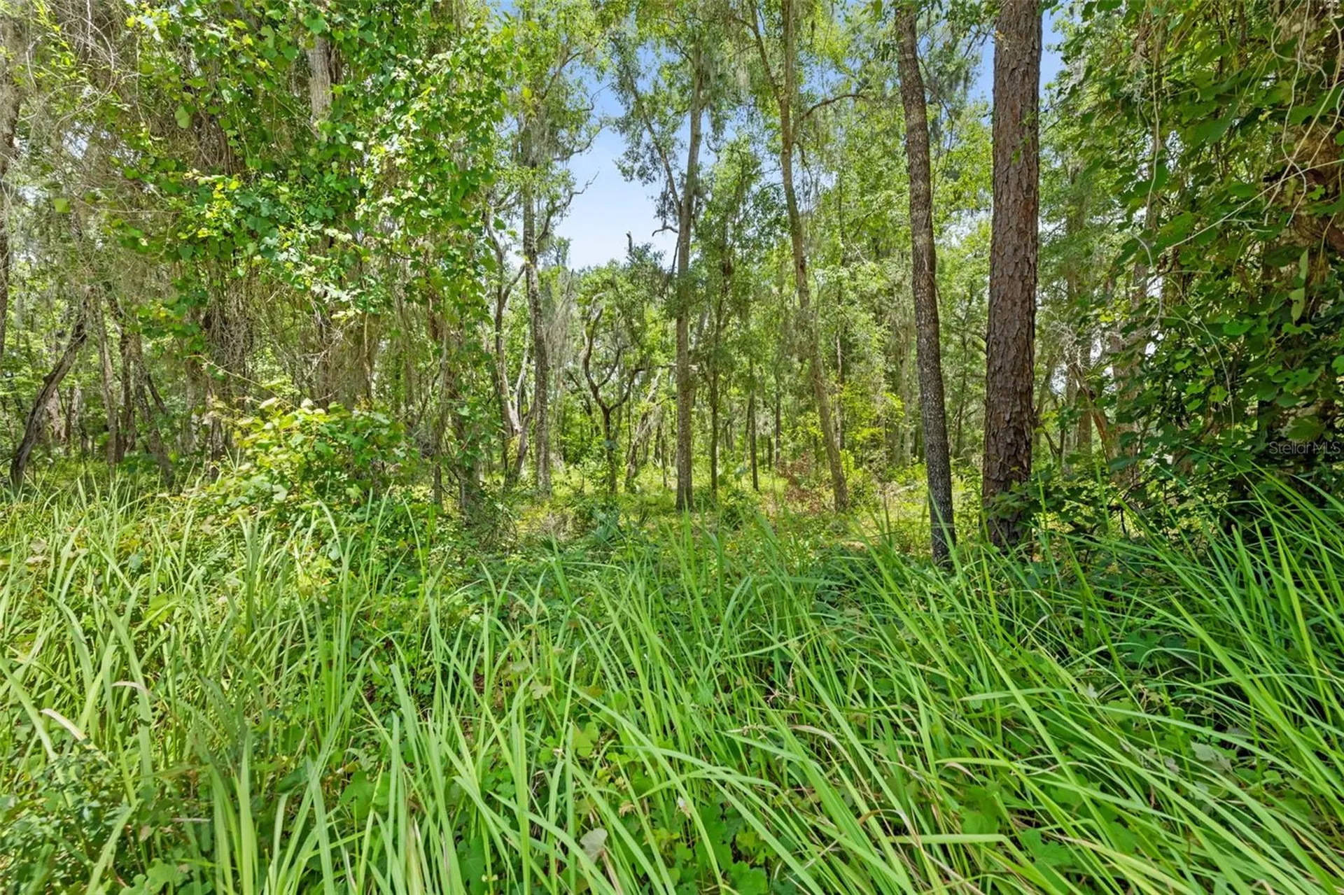 0 Ricebird Avenue Weeki Wachee FL 34614