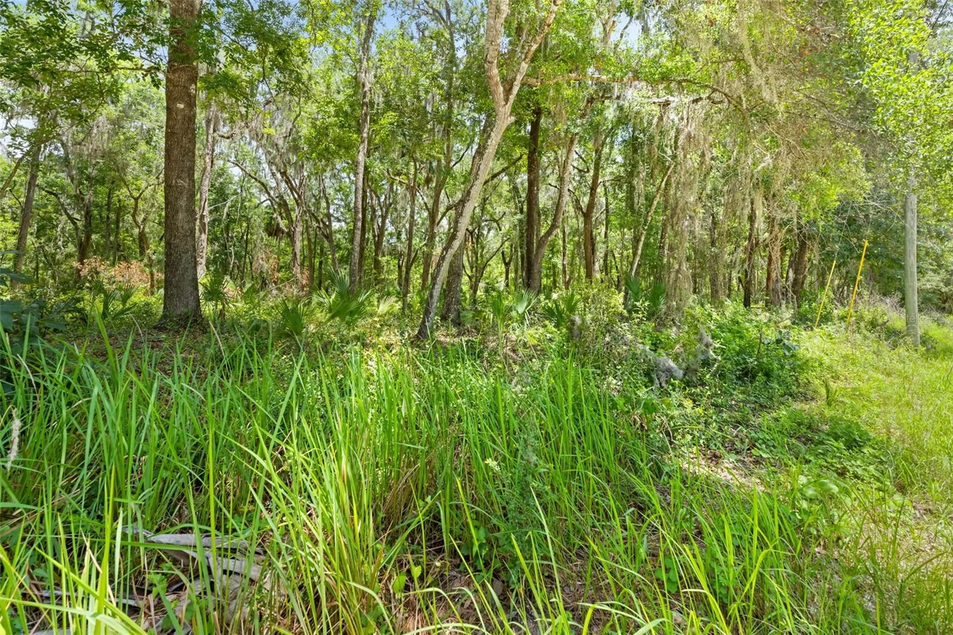 0 Ricebird Avenue Weeki Wachee FL 34614