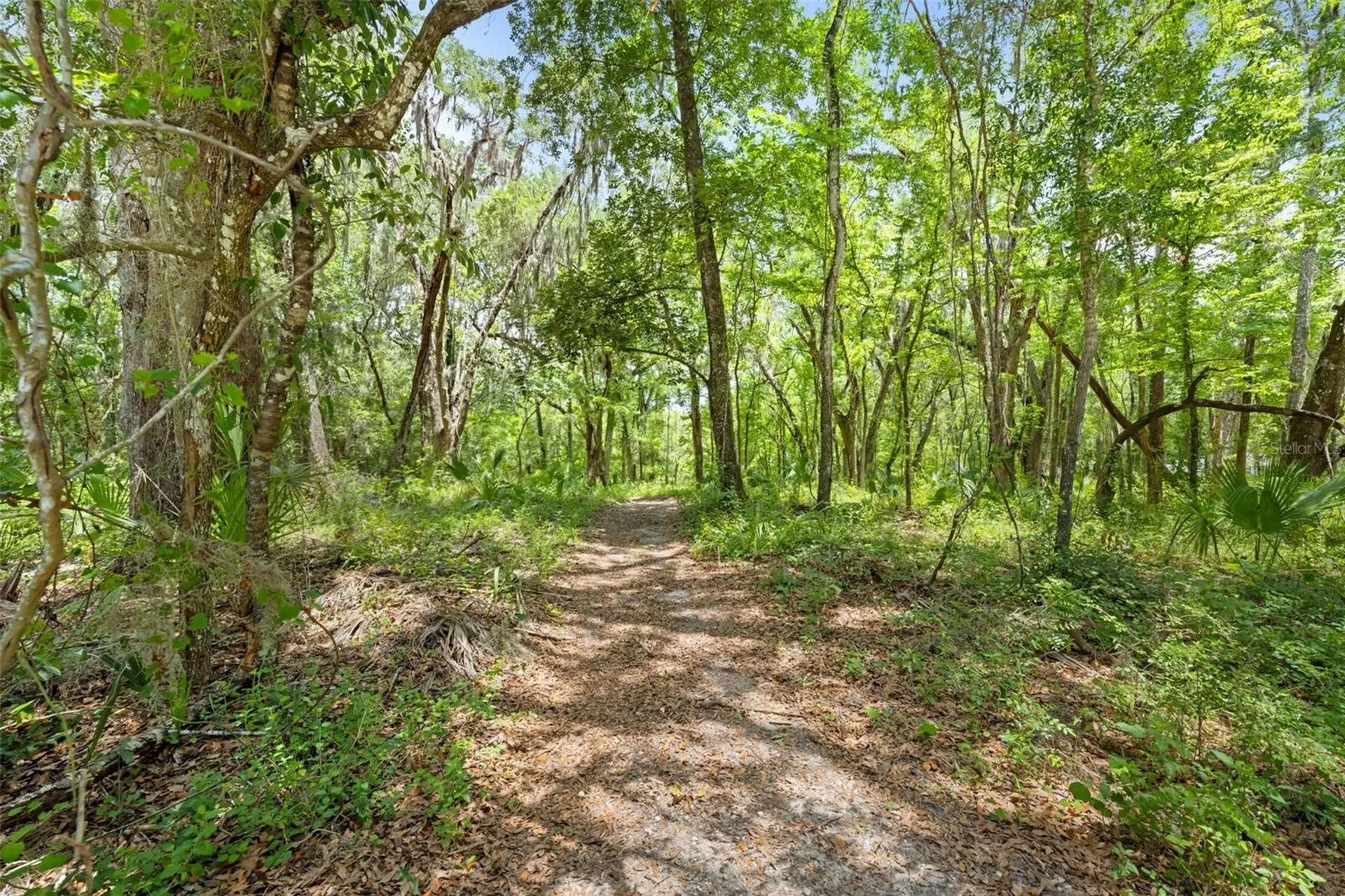 0 Ricebird Avenue Weeki Wachee FL 34614