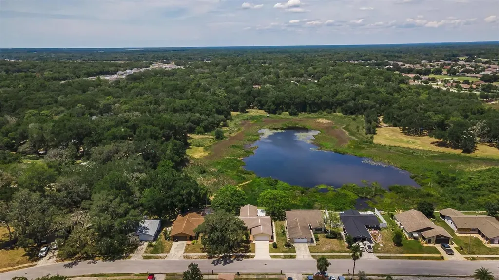 12603 Pecan Tree Drive Hudson FL 34669