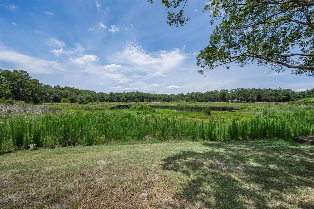 12603 Pecan Tree Drive Hudson FL 34669
