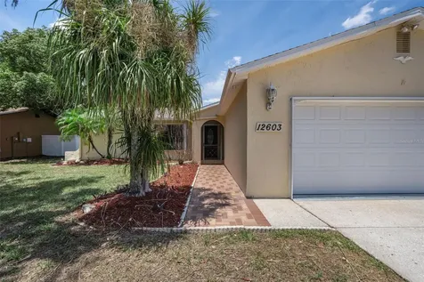 12603 Pecan Tree Drive Hudson FL 34669