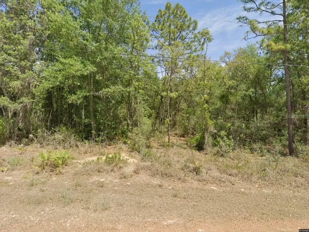6575 W Pershing Drive Homosassa FL 34448