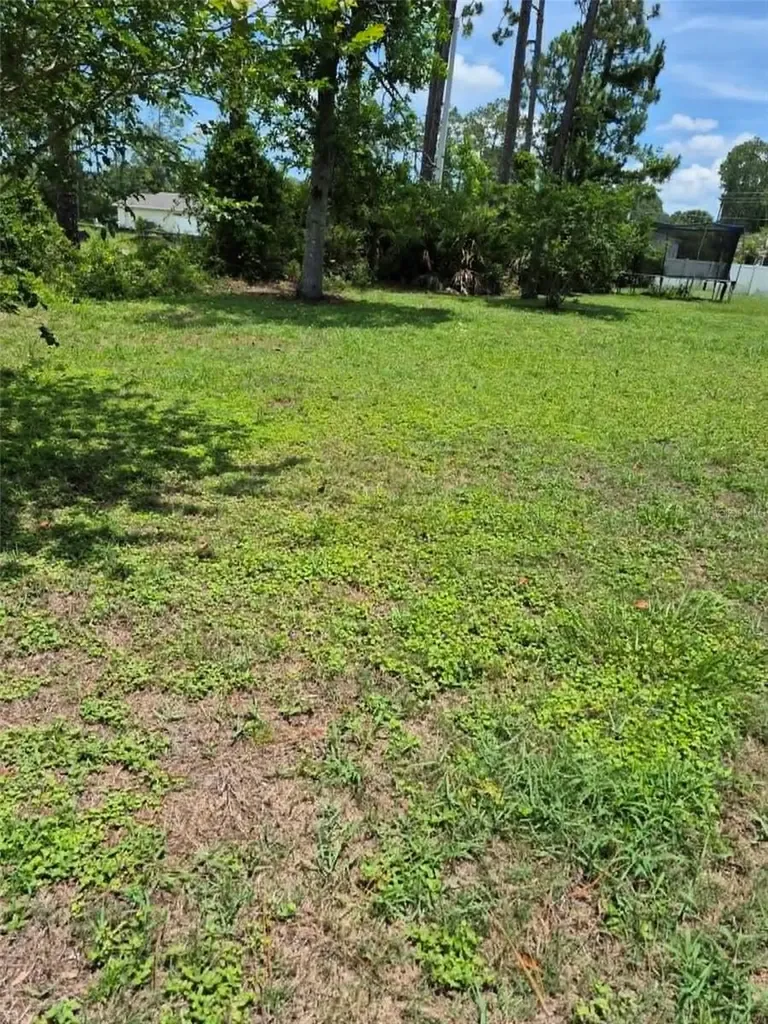 173 Ryberry Drive Palm Coast FL 32164
