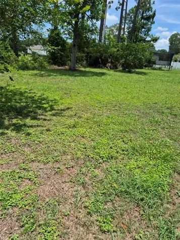 173 Ryberry Drive Palm Coast FL 32164