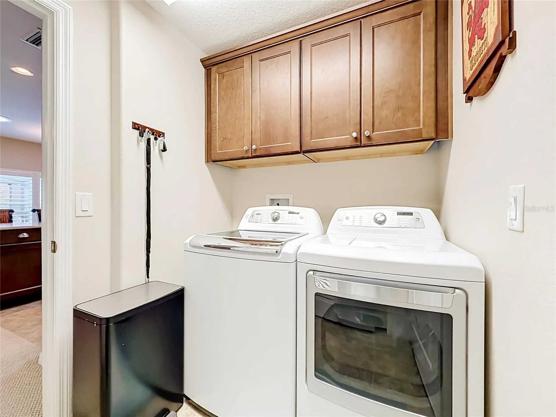 27132 Roanoke Drive Leesburg FL 34748