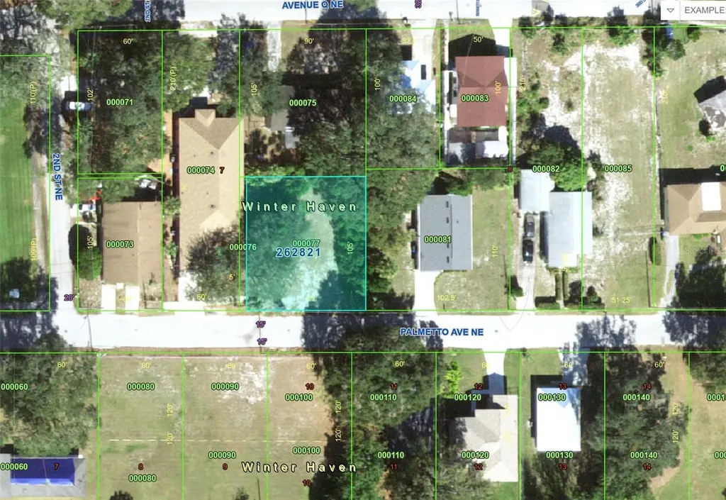 223 Palmetto Avenue NE Winter Haven FL 33881