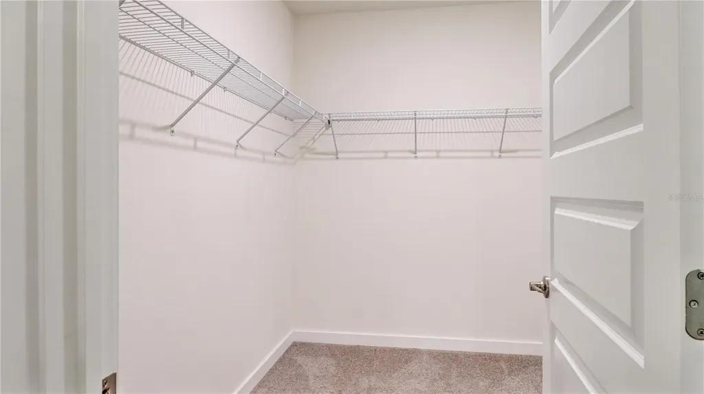 31899 Oyster Trellis Lane Wesley Chapel FL 33545