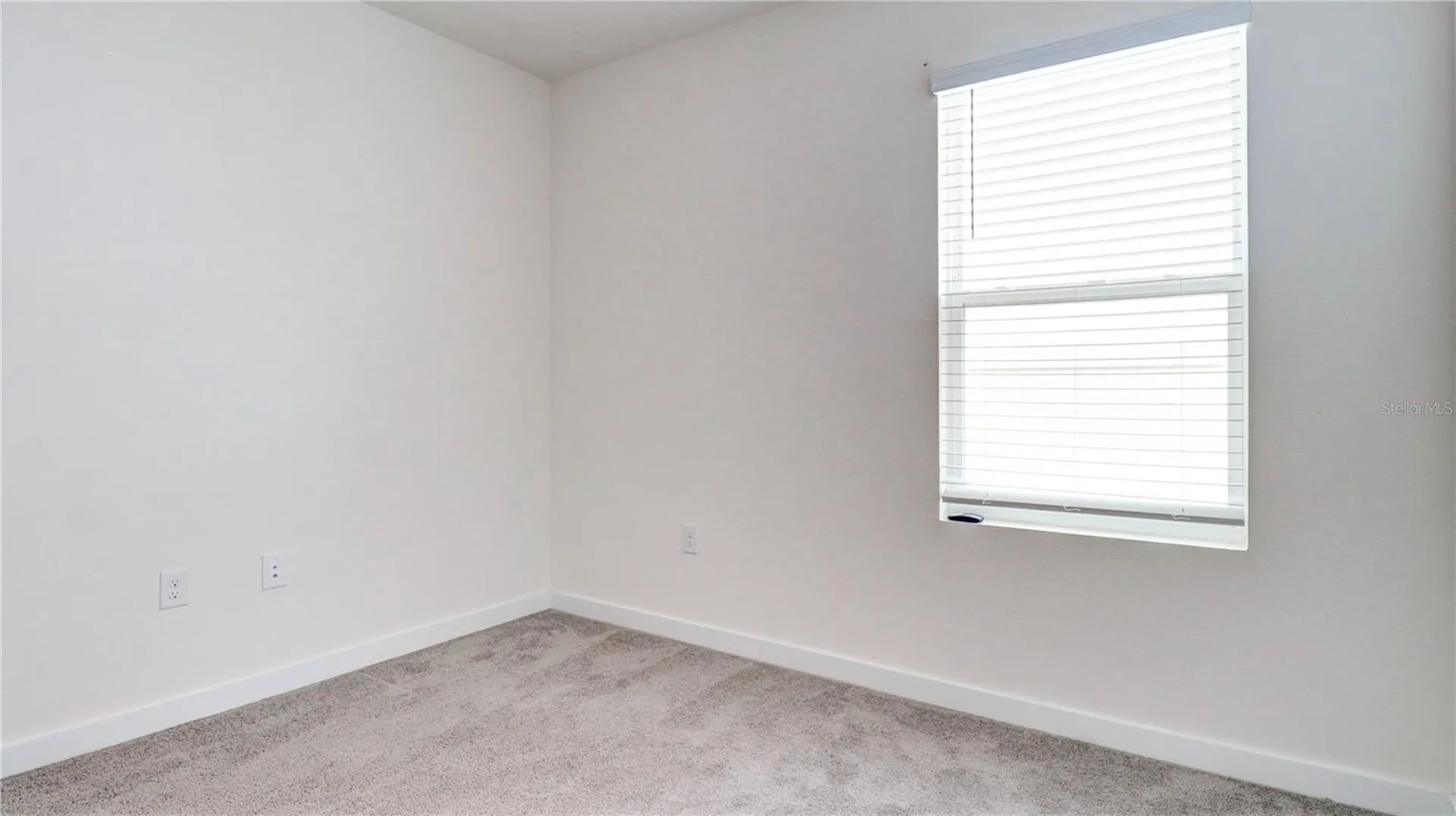 31899 Oyster Trellis Lane Wesley Chapel FL 33545