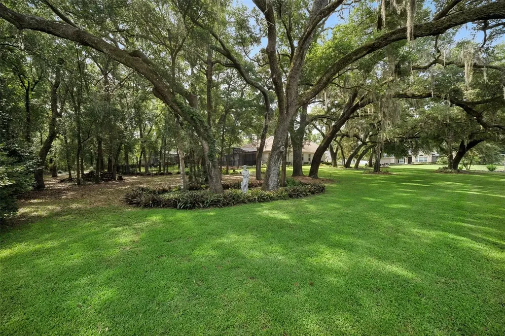 597 Sand Wedge Loop Apopka FL 32712