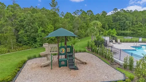 375 Pink Ibis Bend St Cloud FL 34772