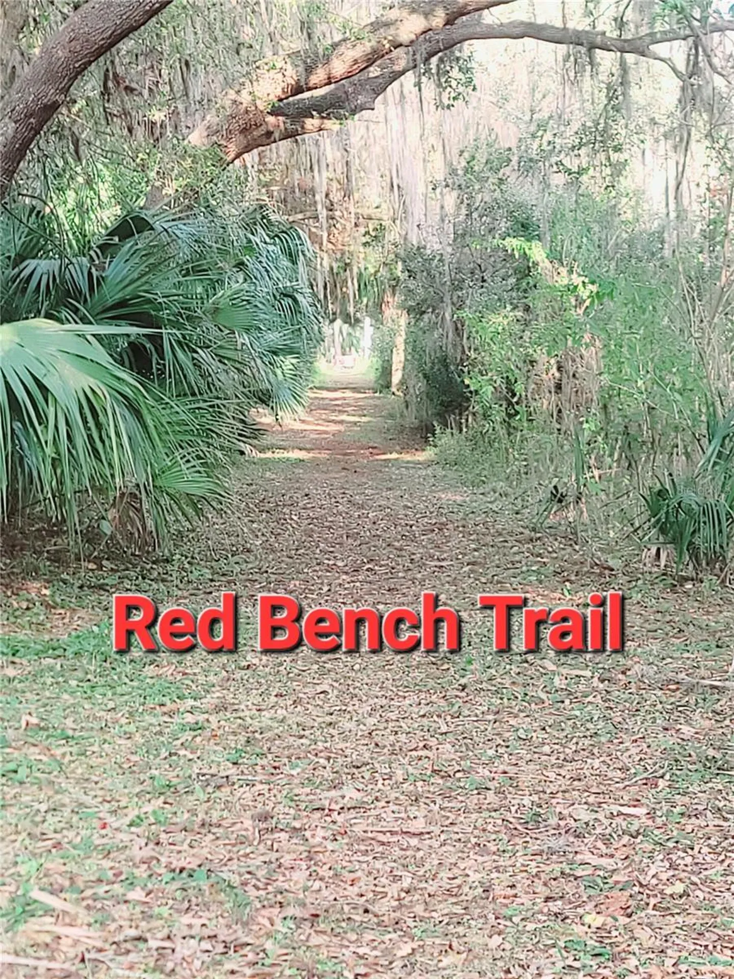 410 Landing Boulevard Inverness FL 34450