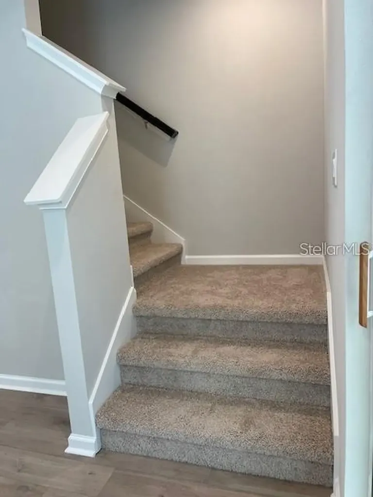 3235 Timber Crossing Avenue Brandon FL 33511