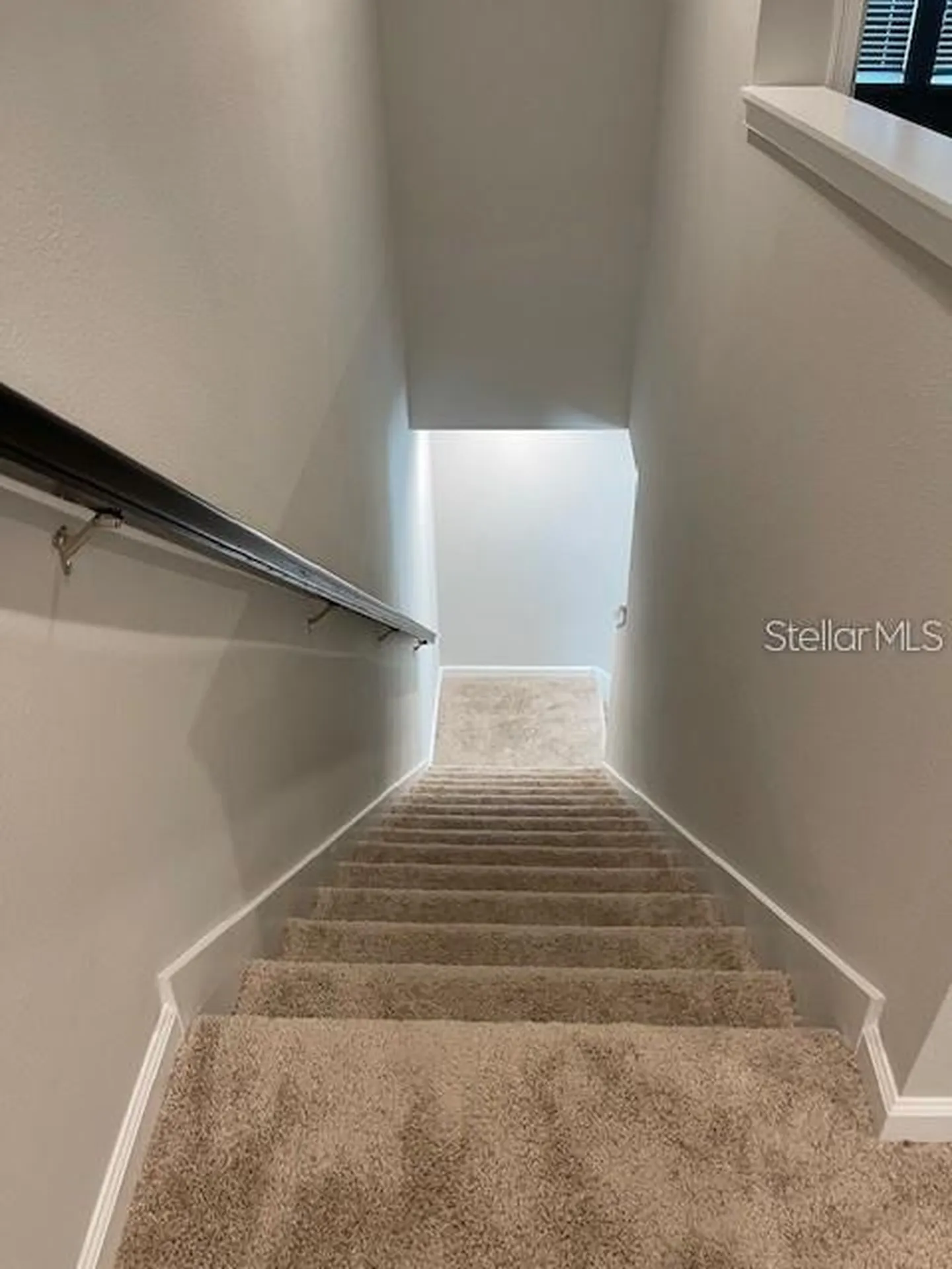 3235 Timber Crossing Avenue Brandon FL 33511