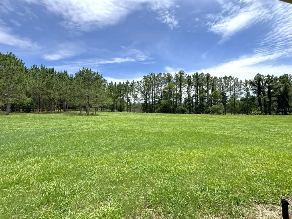 1724 E Gate Dancer Circle Inverness FL 34453