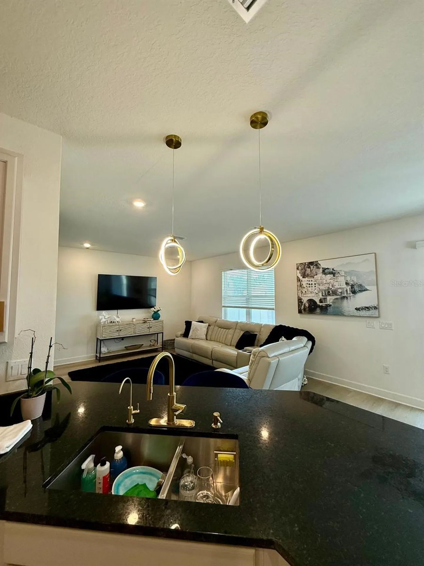 16522 Brook Isle Way Clermont FL 34714