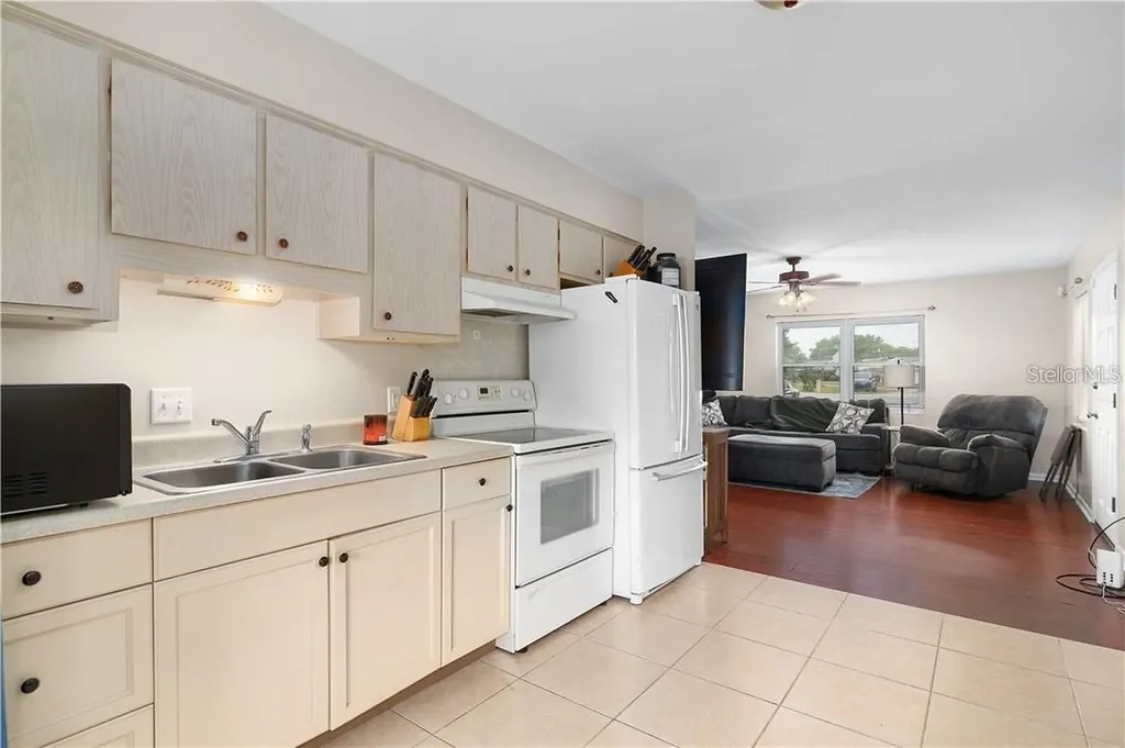 1003 Dora Avenue Tavares FL 32778