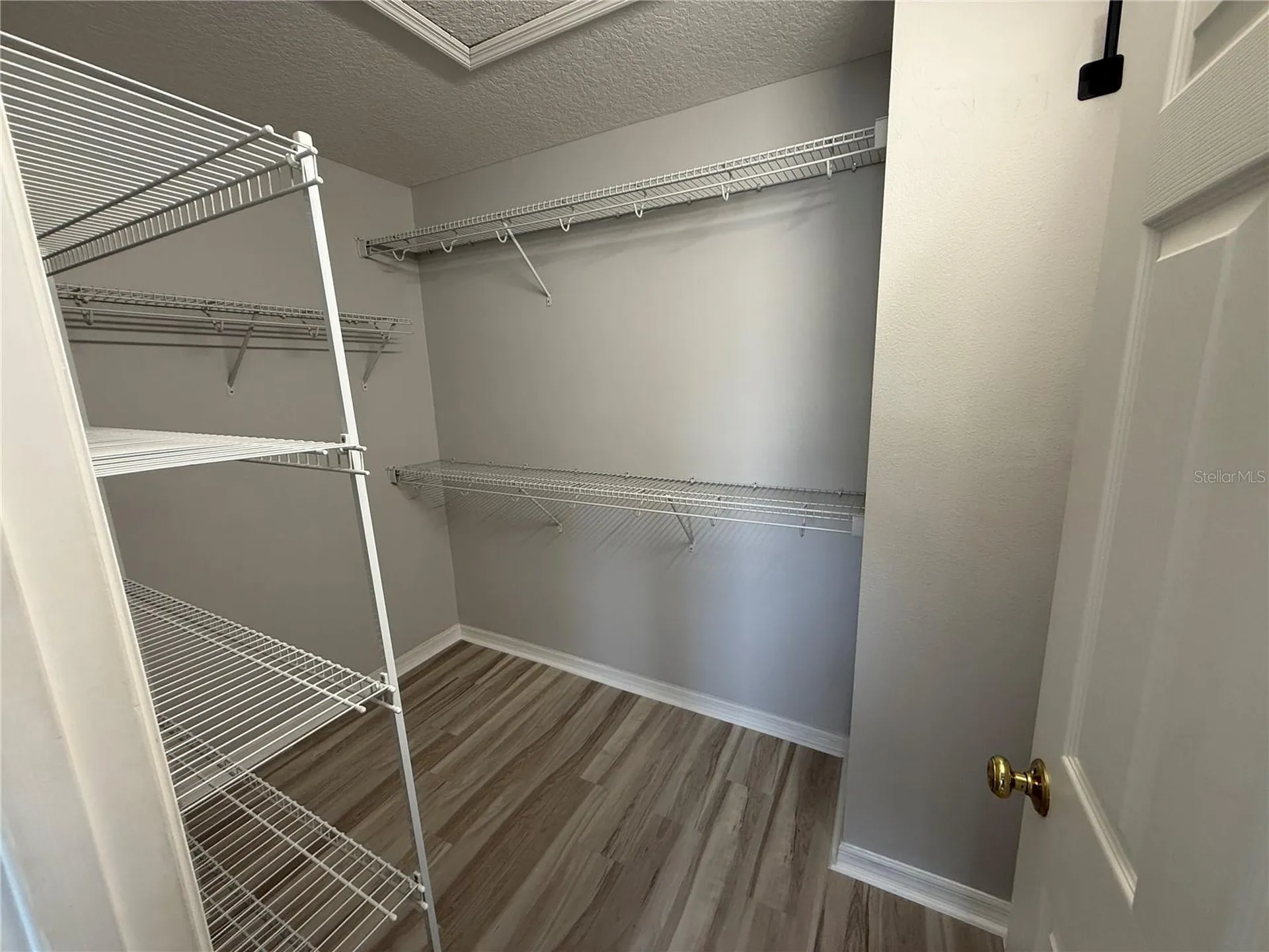 14432 Pleach Street Winter Garden FL 34787