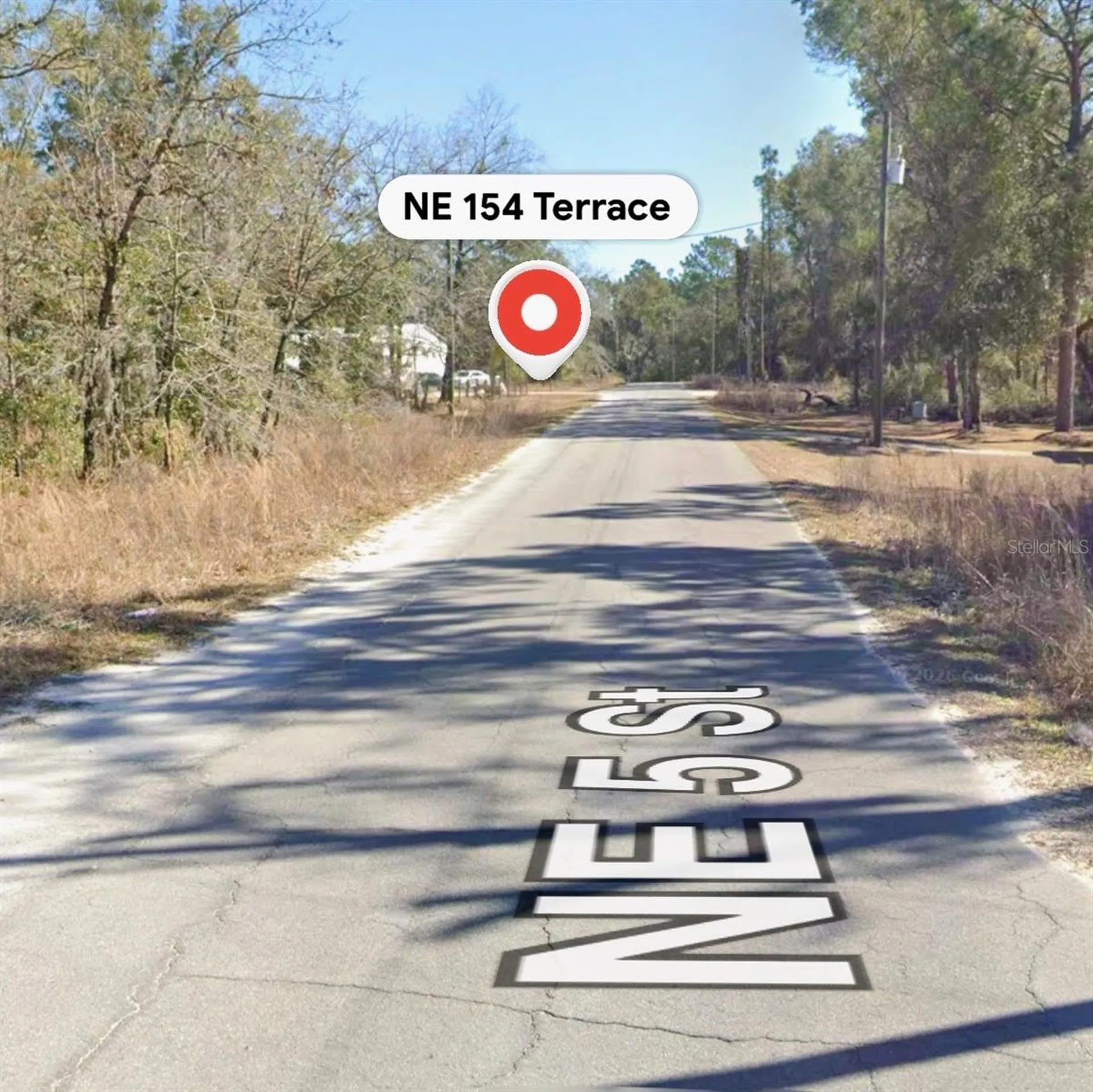 NE 154 Terrace Williston FL 32696