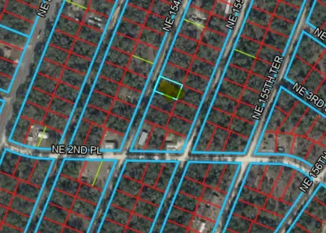 NE 154 Terrace Williston FL 32696