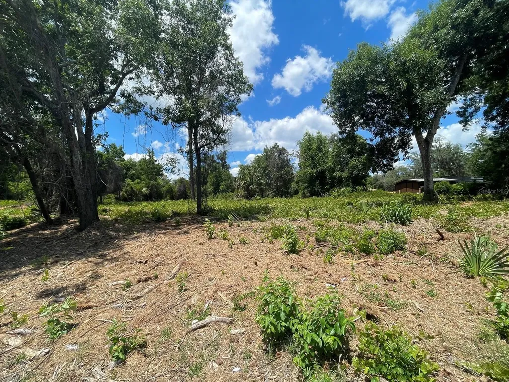 County Road 42 Umatilla FL 32784