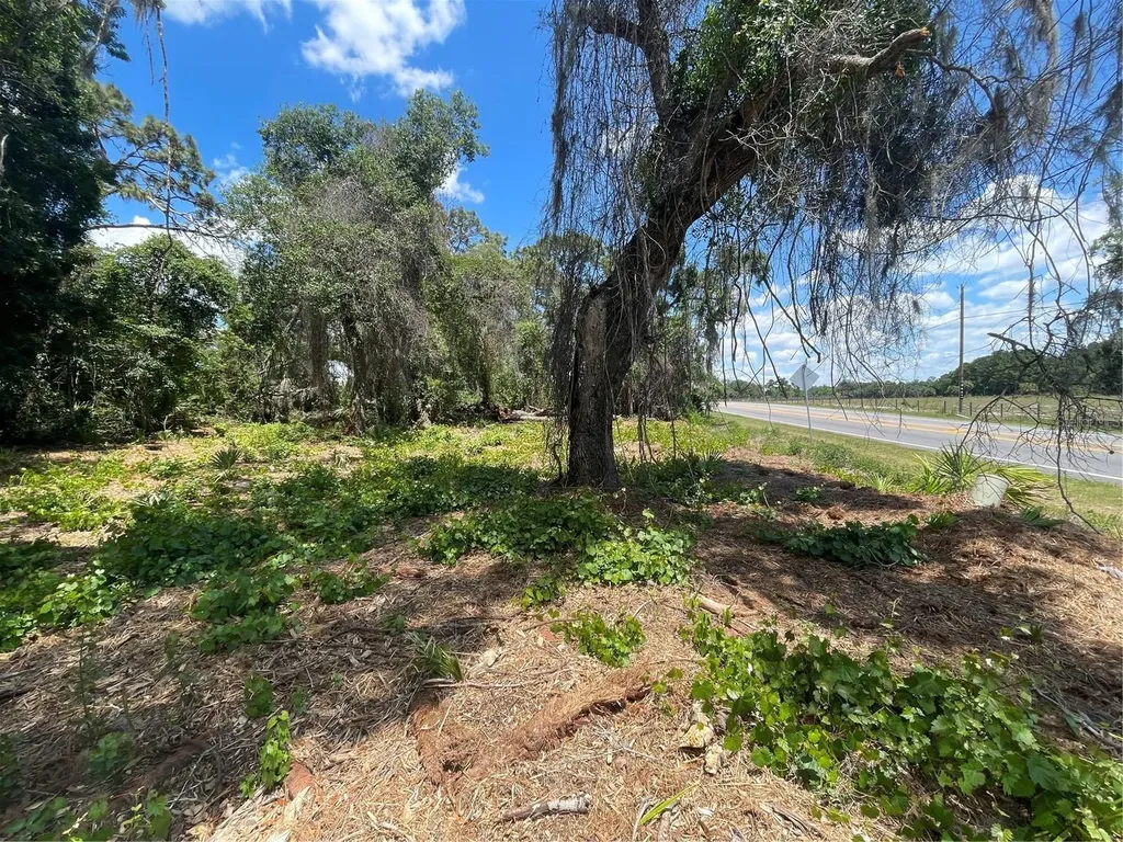 County Road 42 Umatilla FL 32784
