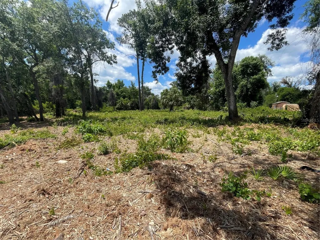 County Road 42 Umatilla FL 32784