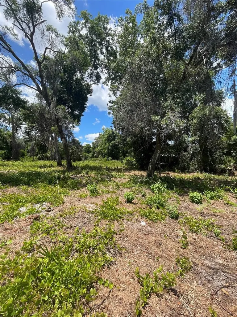 County Road 42 Umatilla FL 32784