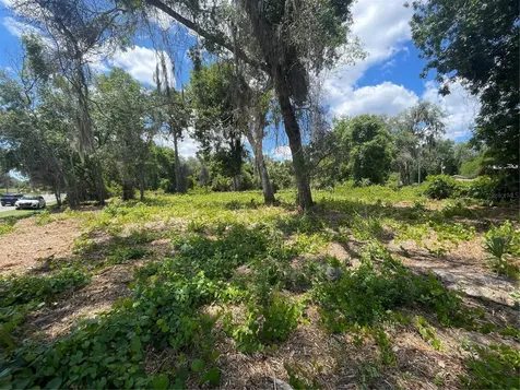 County Road 42 Umatilla FL 32784