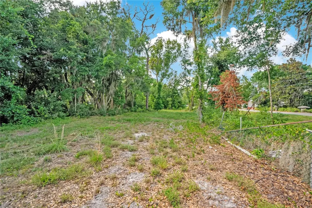 818 Lake Agnes Drive Polk City FL 33868