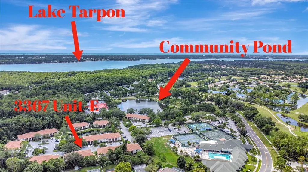 3367 Crystal Court E Palm Harbor FL 34685