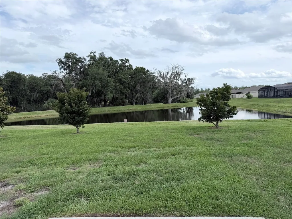1917 Cricket Cradle Drive Kissimmee FL 34746