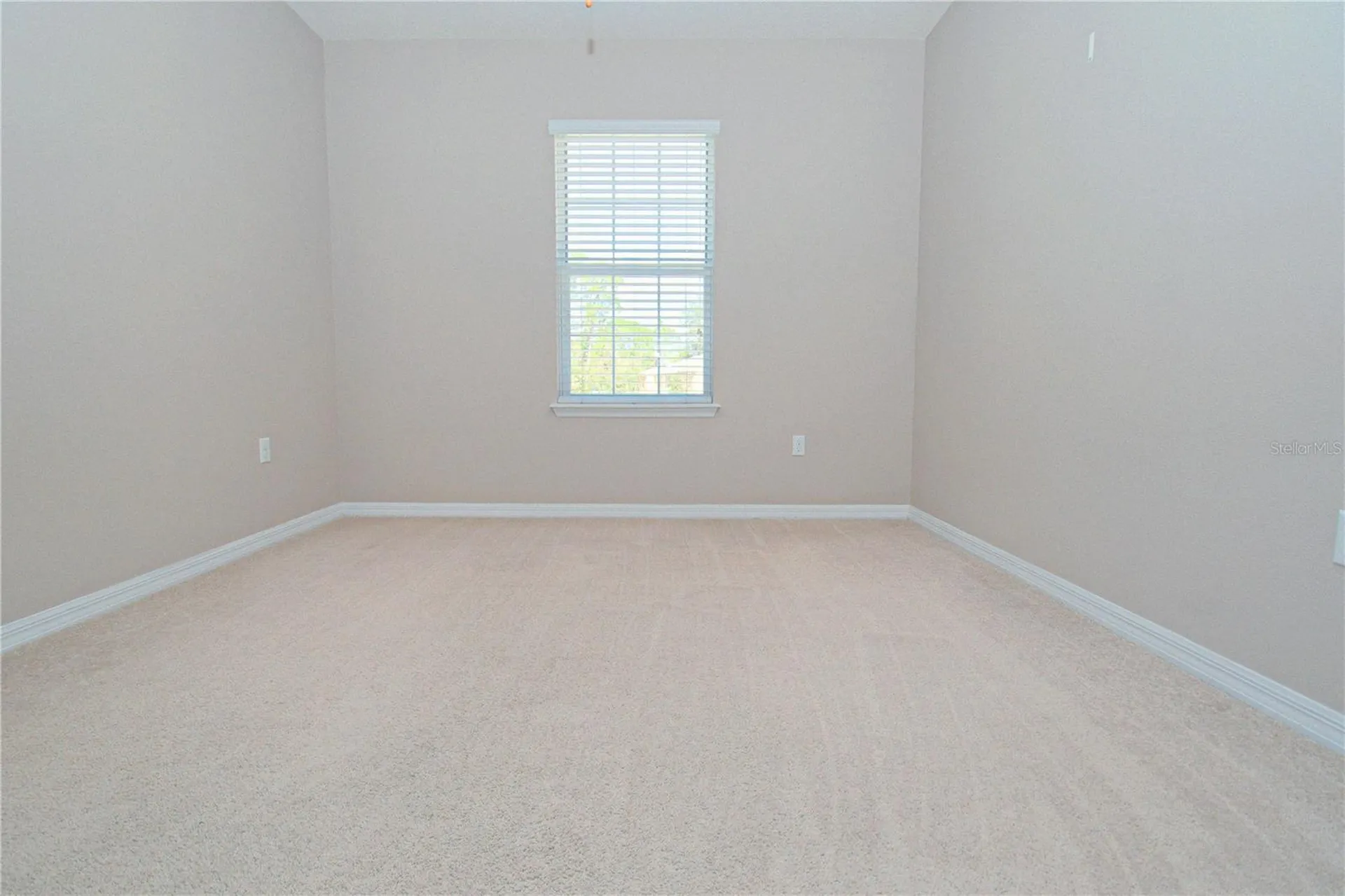 13967 River Willow Place Tampa FL 33637