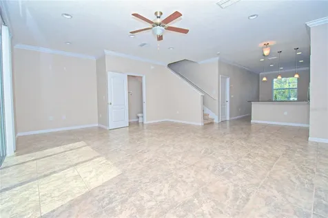 13967 River Willow Place Tampa FL 33637